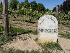 Serrurier Meyzieu